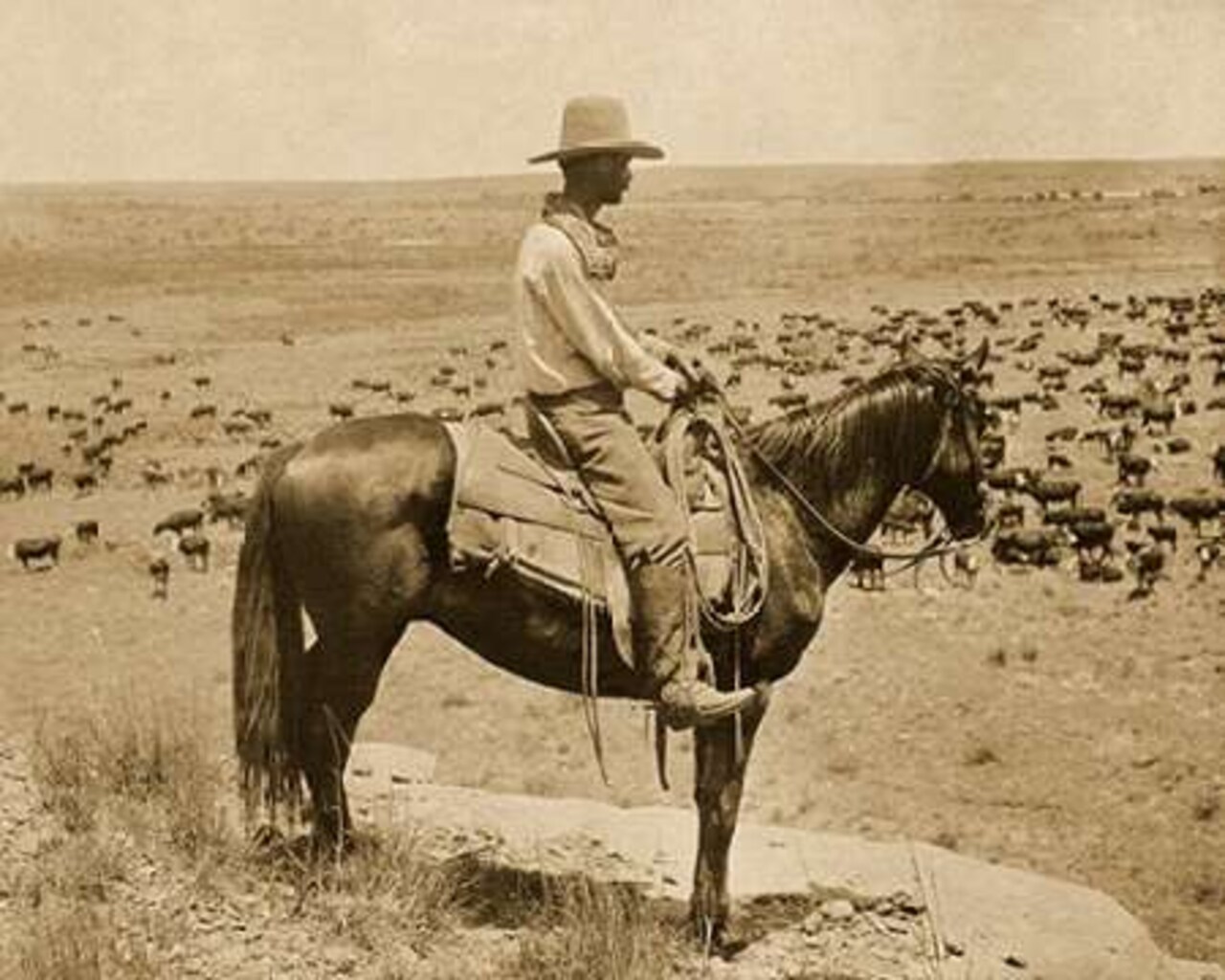 A Texas cowboy, 1907 - Sepia Poster Print by Erwin Smith - Item # VARPDX464683